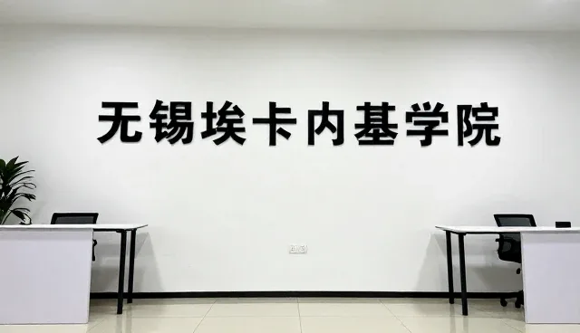 提升系统稳定性的关键：技术支持与维护策略